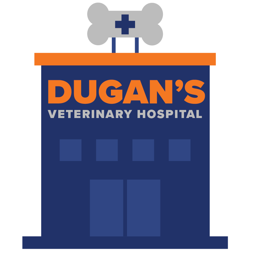 provided image of location