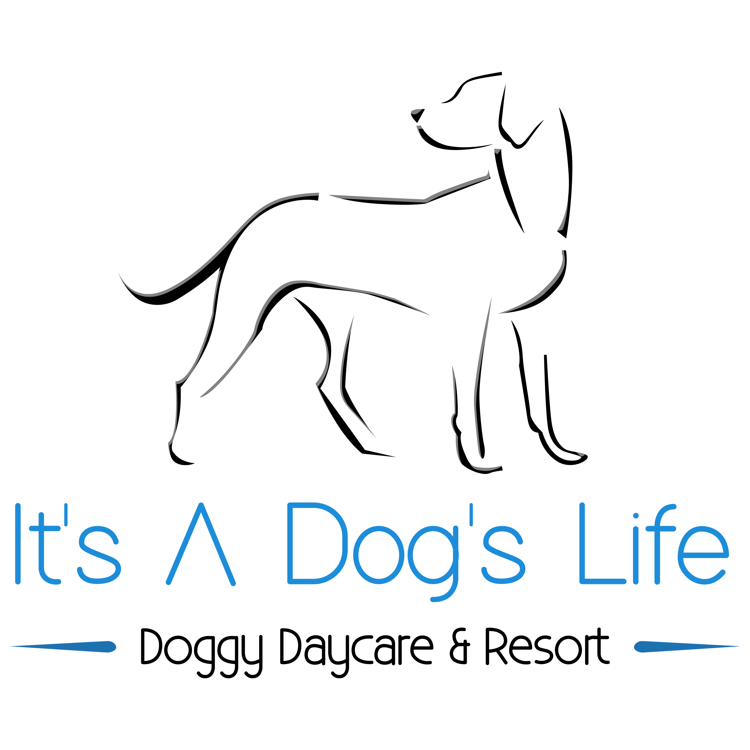 provided image of location