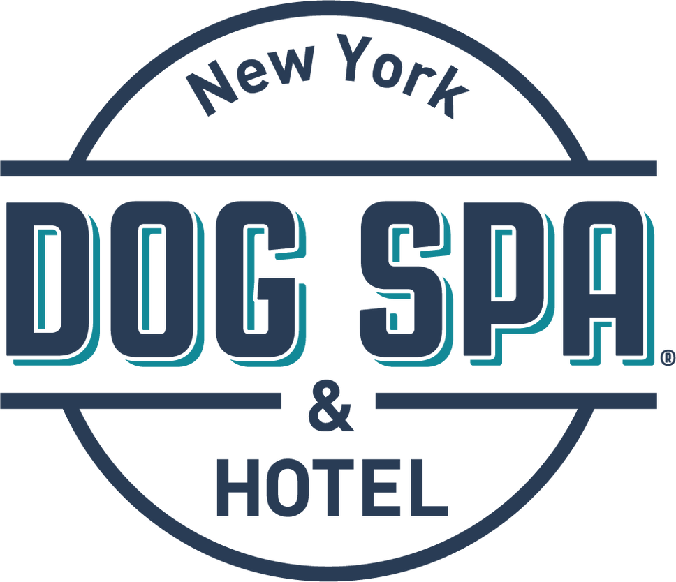 provided image of location