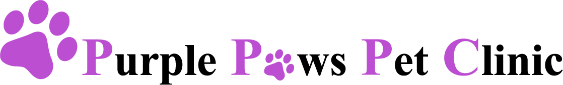 provided image of location