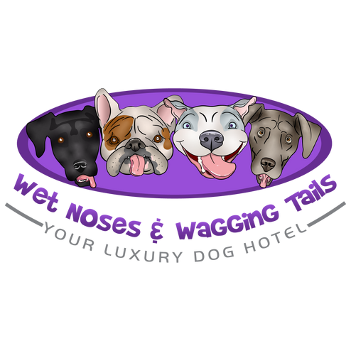 provided image of location