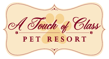 provided image of location