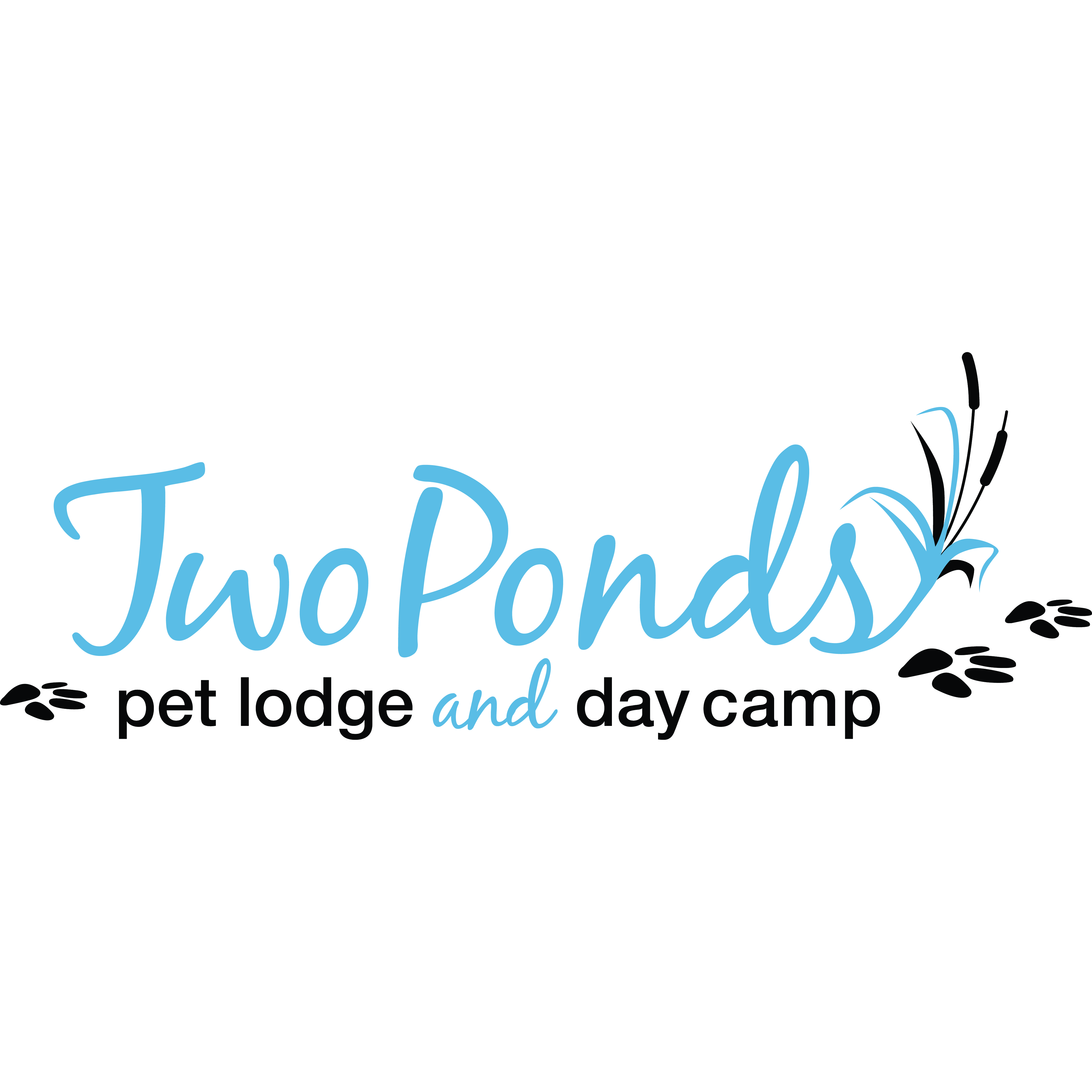 provided image of location