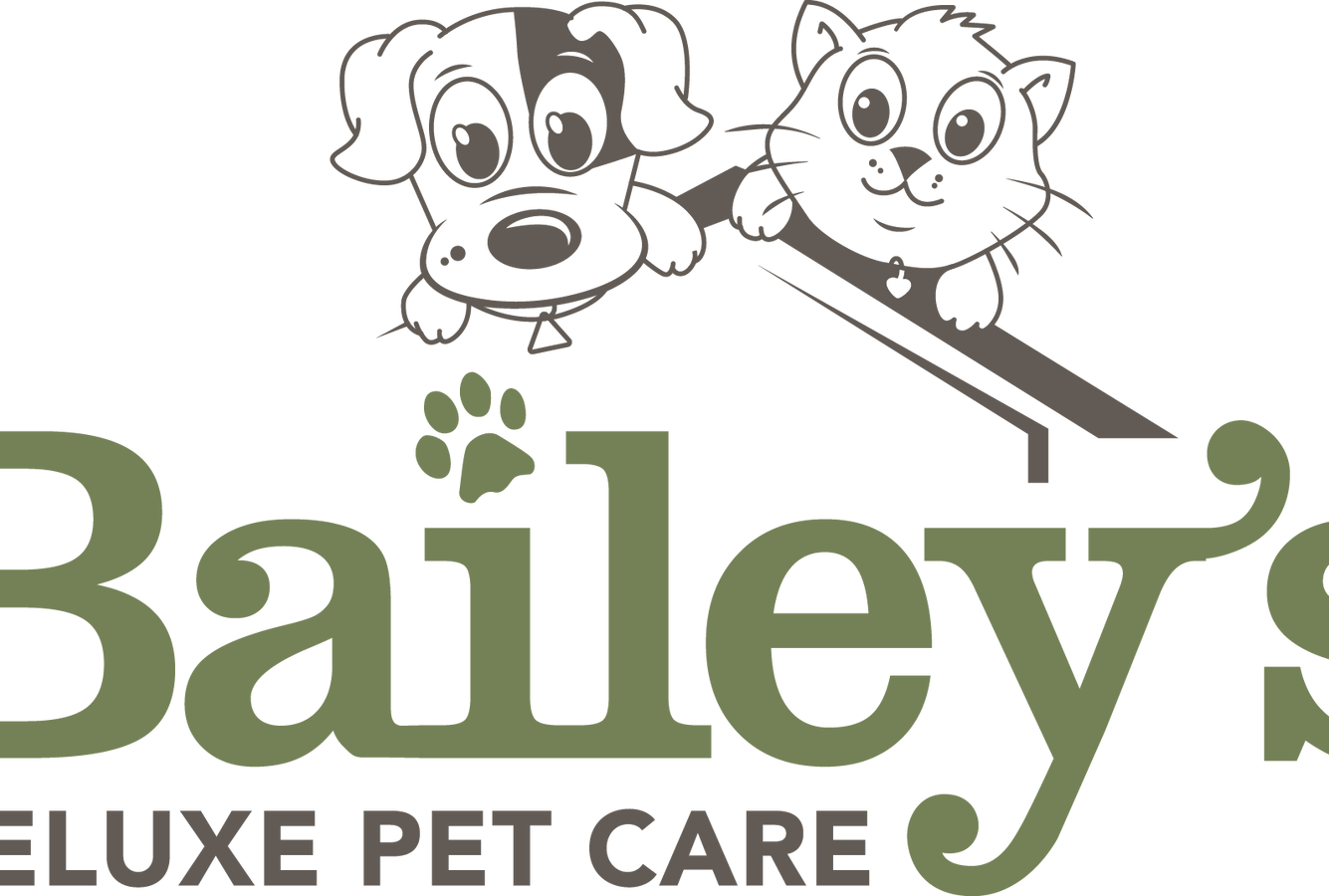 provided image of location