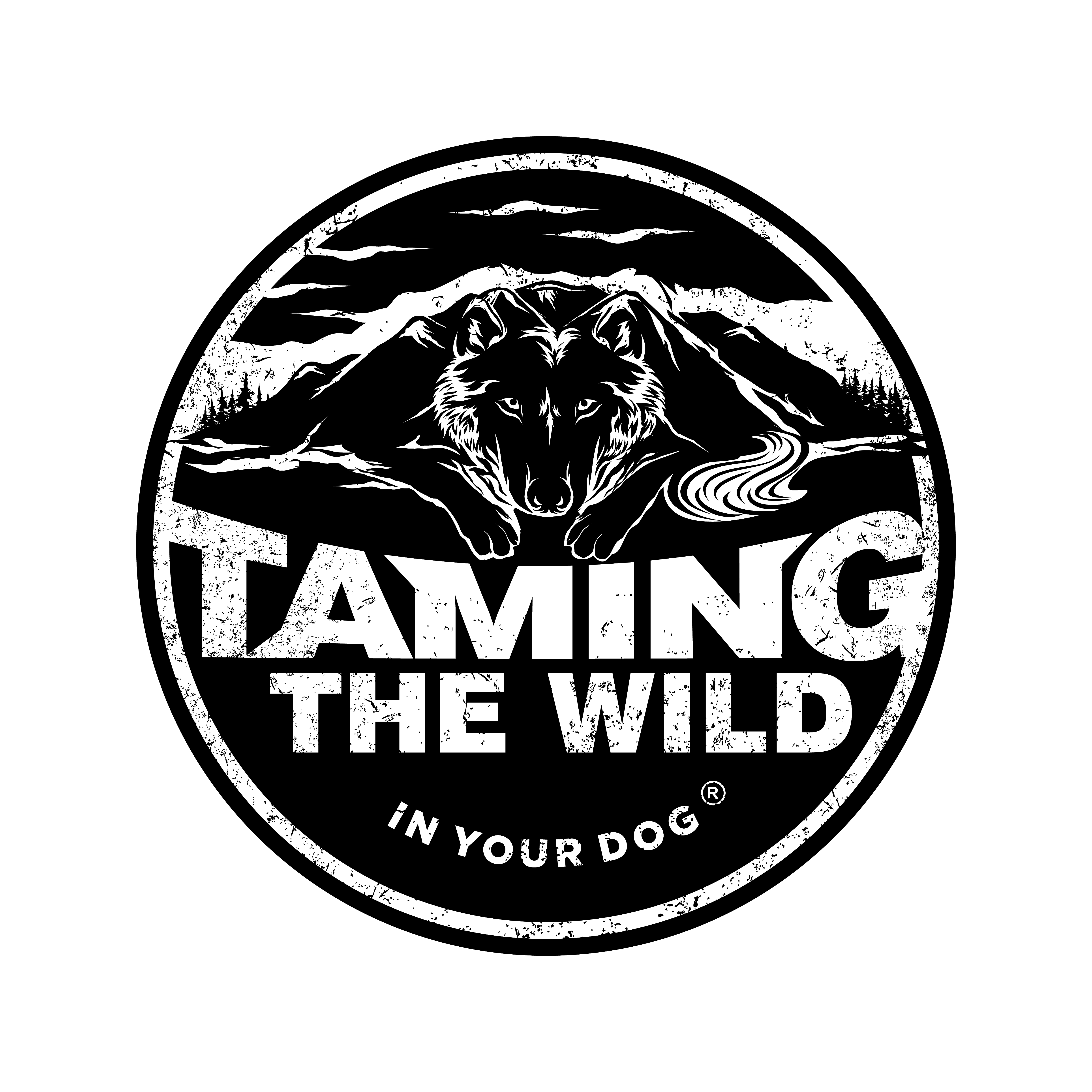 provided image of location